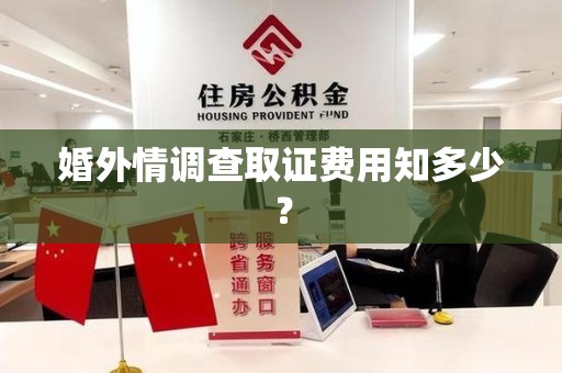 惠安婚外情调查取证费用知多少？