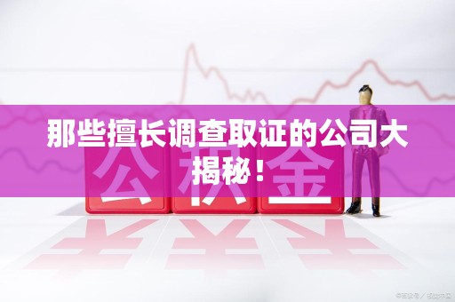 惠安那些擅长调查取证的公司大揭秘！