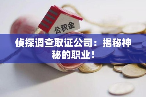 惠安侦探调查取证公司：揭秘神秘的职业！