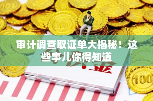 惠安审计调查取证单大揭秘！这些事儿你得知道
