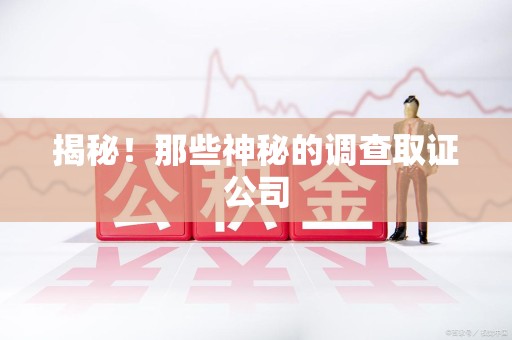 惠安揭秘！那些神秘的调查取证公司