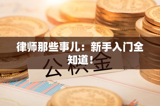 惠安律师那些事儿：新手入门全知道！
