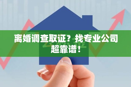 惠安离婚调查取证？找专业公司超靠谱！