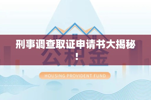 惠安刑事调查取证申请书大揭秘！