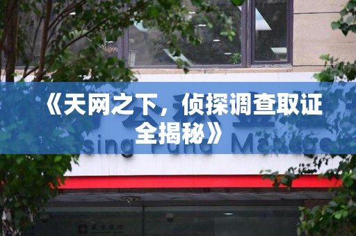 惠安《天网之下，侦探调查取证全揭秘》
