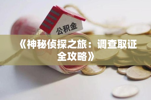 惠安《神秘侦探之旅：调查取证全攻略》