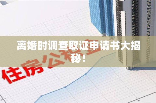 惠安离婚时调查取证申请书大揭秘！